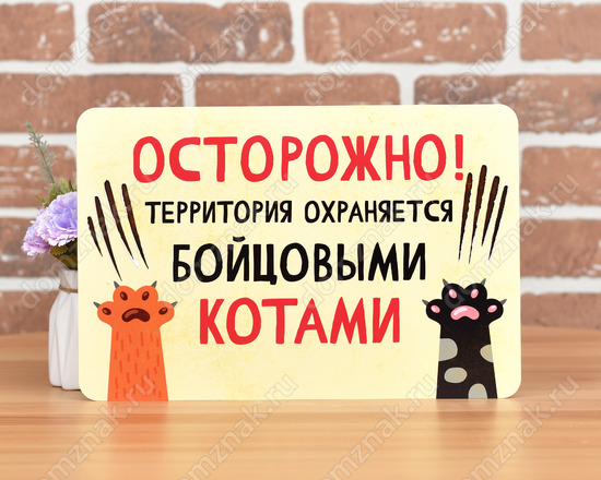Территория охраняется котами